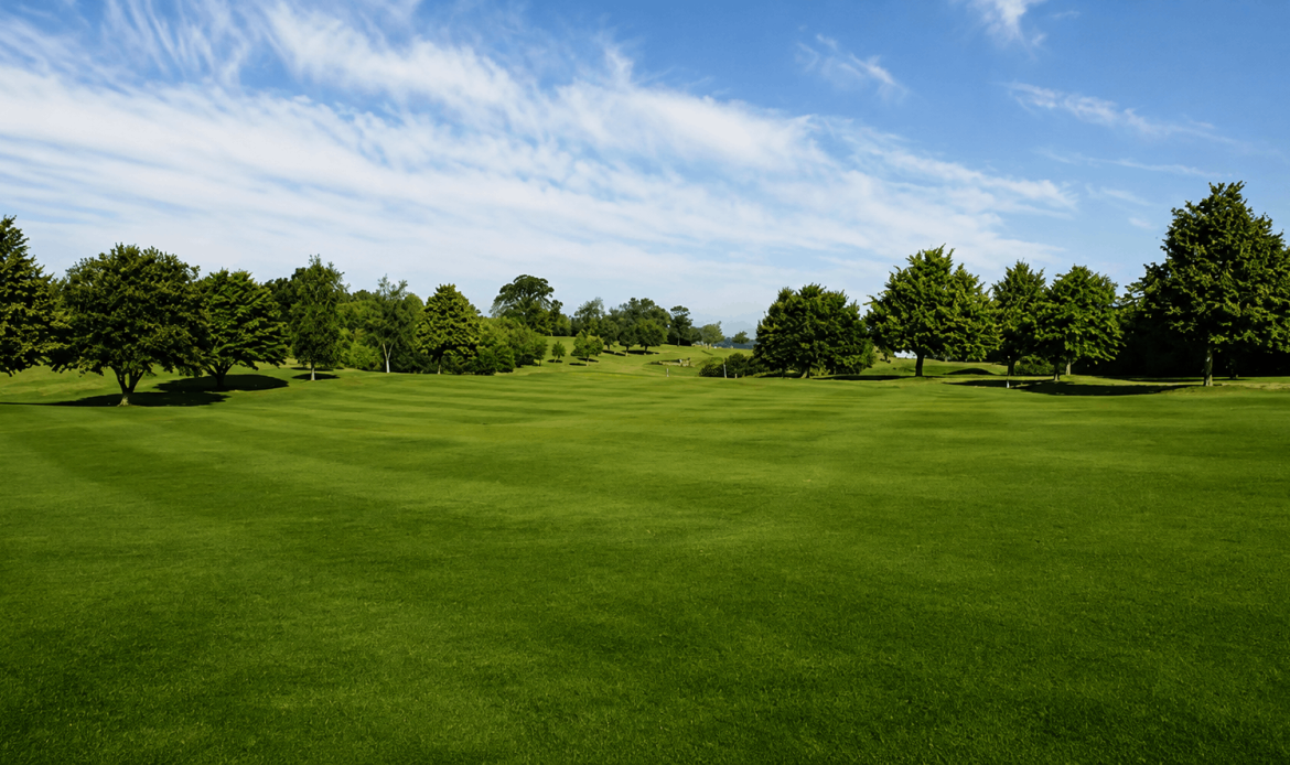 2nd Hole