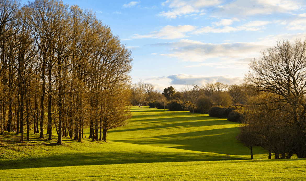 Whitehill-Golf