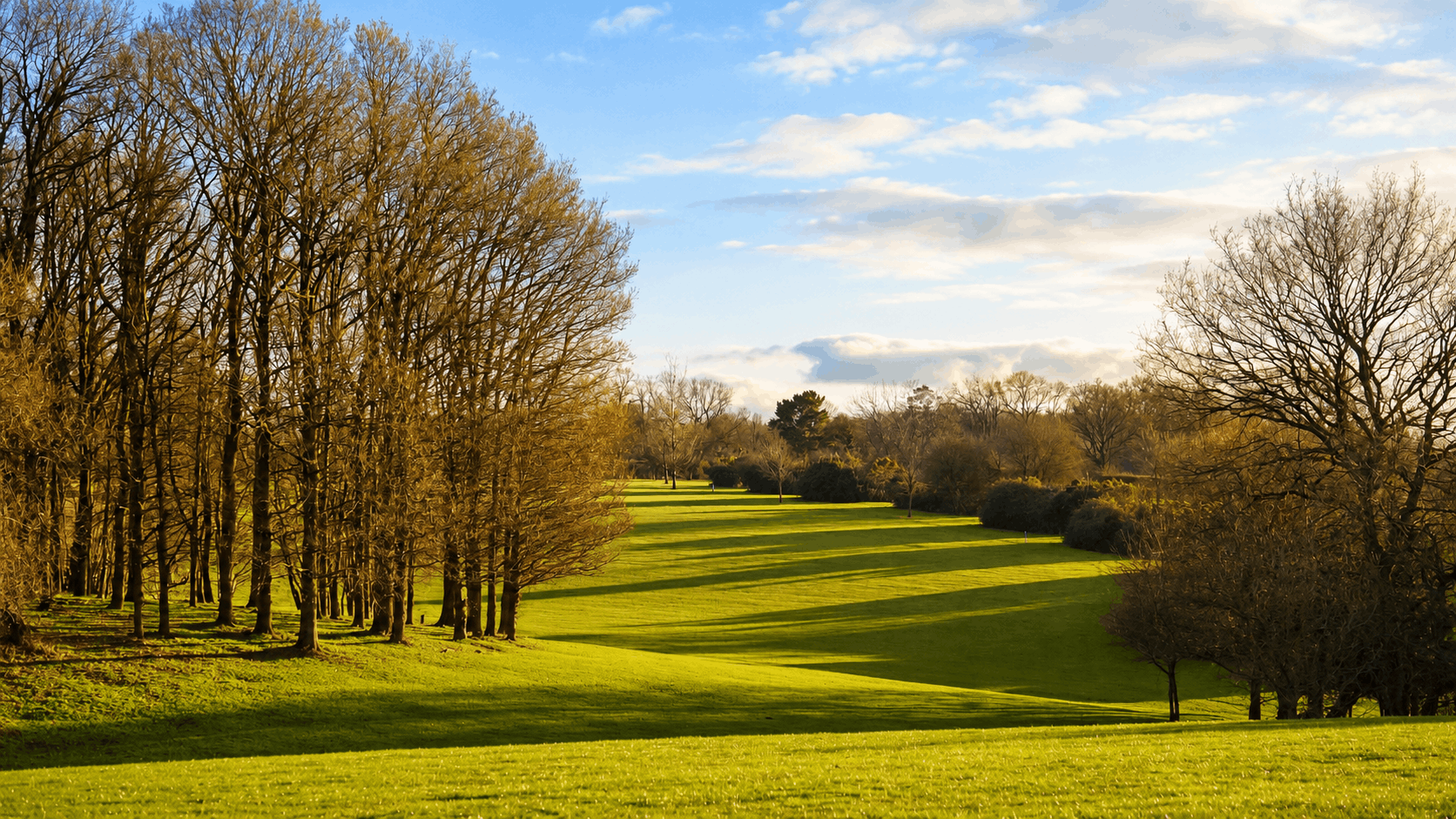 Whitehill-Golf