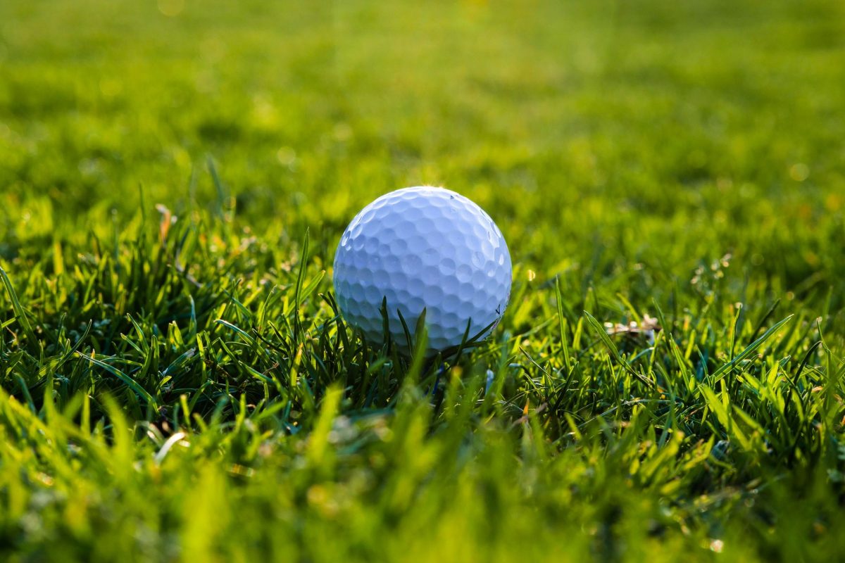 Driving Range Ball