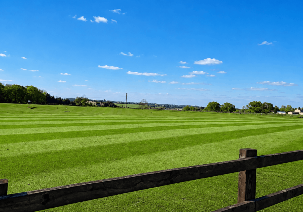Grass bays