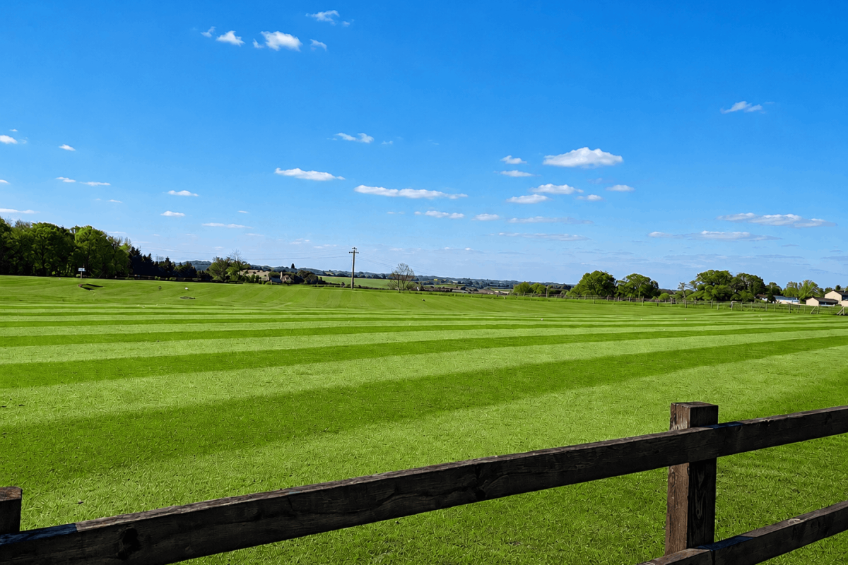 Grass bays